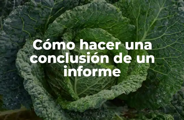 Cómo Hacer una Conclusión de un Informe 2 Cómo hacer una conclusión de un informe