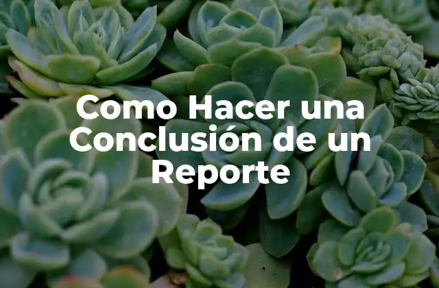 ¿Qué es una Conclusión de un Reporte?