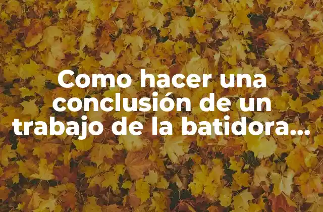 Como Hacer una Conclusión de un Trabajo de la Batidora Casera