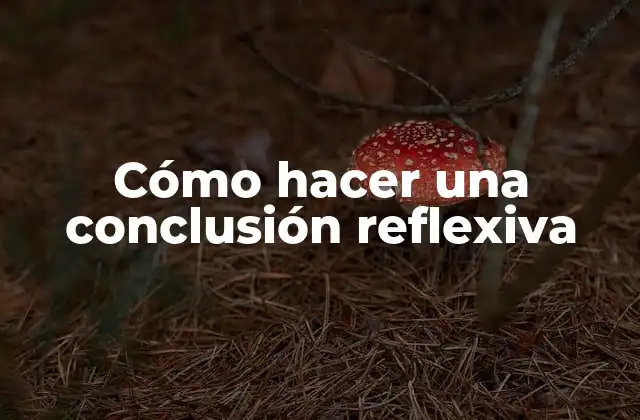 Cómo Hacer una Conclusión Reflexiva