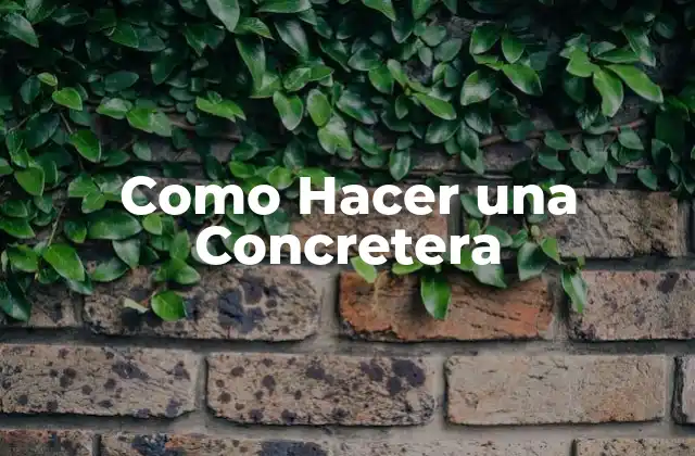 Como Hacer una Concretera