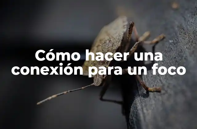 Cómo Hacer una Conexión para un Foco