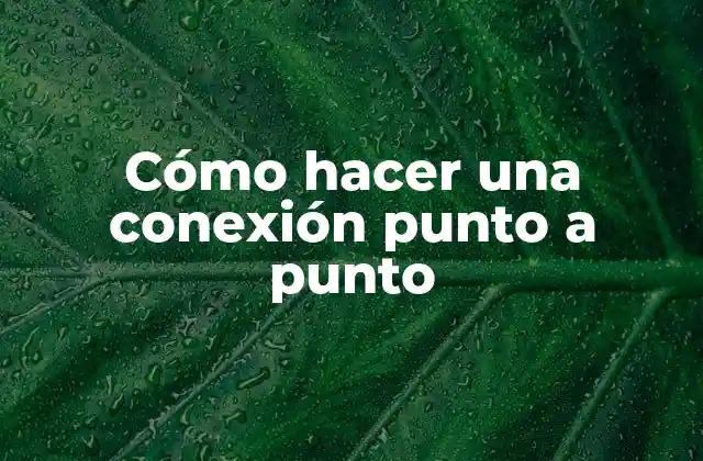 Cómo Hacer una Conexión Punto a Punto