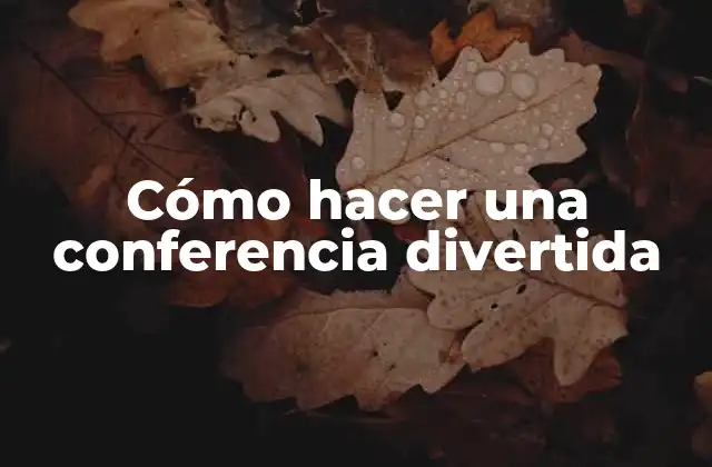 ¿Qué es una conferencia divertida?