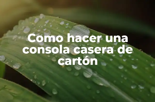 Como Hacer una Consola Casera de Cartón