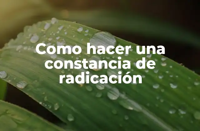 Como Hacer una Constancia de Radicación