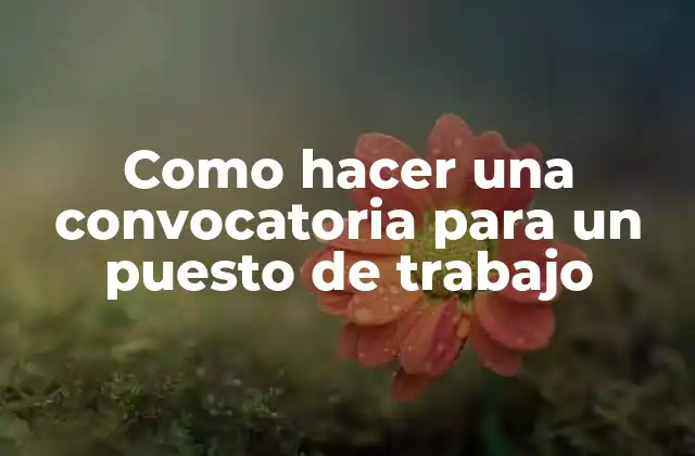 Como Hacer una Convocatoria para un Puesto de Trabajo