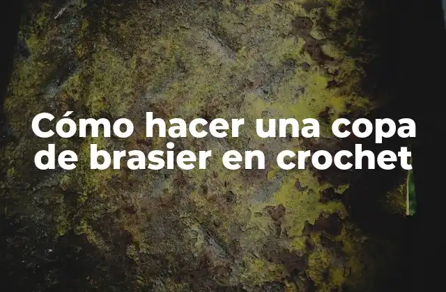 Cómo Hacer una Copa de Brasier en Crochet