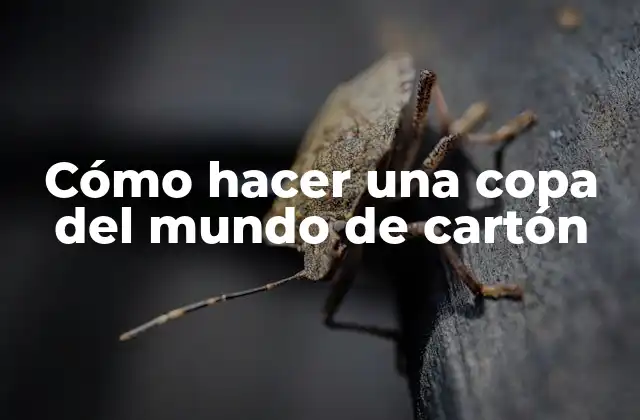 Cómo Hacer una Copa Del Mundo de Cartón