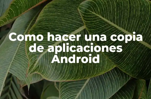 ¿Qué es hacer una copia de aplicaciones Android y para qué sirve?