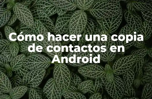 Cómo Hacer una Copia de Contactos en Android