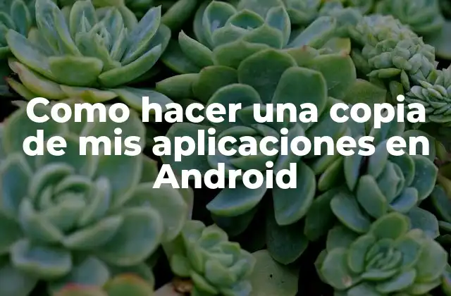 Como Hacer una Copia de Mis Aplicaciones en Android