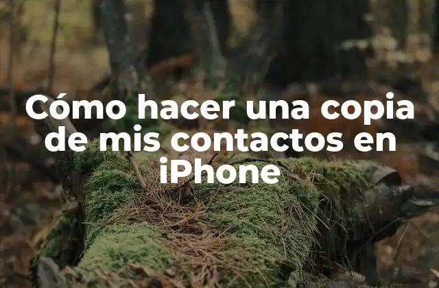 Cómo Hacer una Copia de Mis Contactos en Iphone