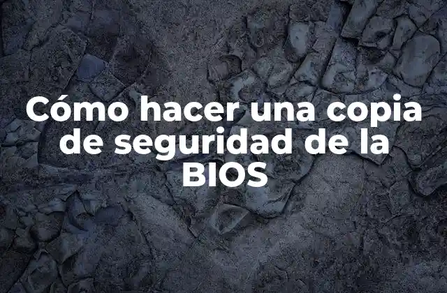 Cómo Hacer una Copia de Seguridad de la Bios