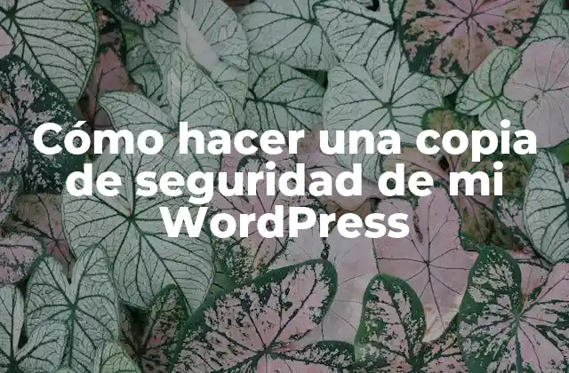 Cómo Hacer una Copia de Seguridad de Mi WordPress