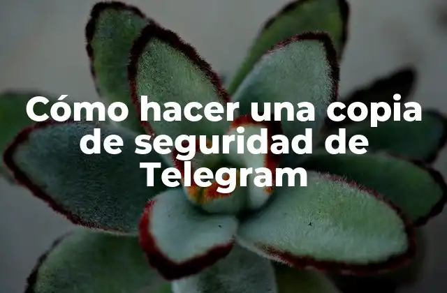 Cómo Hacer una Copia de Seguridad de Telegram