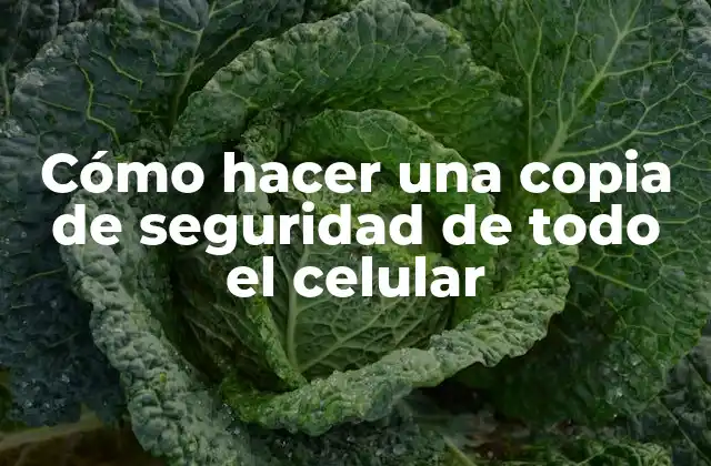 ¿Qué es una copia de seguridad de celular y para qué sirve?