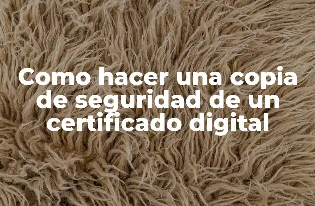 Como Hacer una Copia de Seguridad de un Certificado Digital