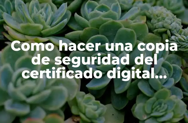 Como Hacer una Copia de Seguridad Del Certificado Digital Chrome