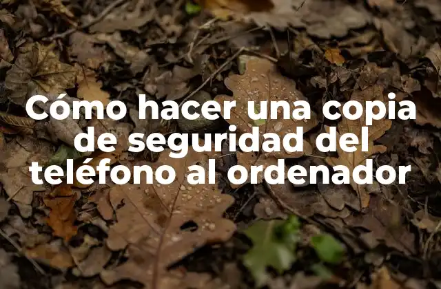 Cómo Hacer una Copia de Seguridad Del Teléfono Al Ordenador