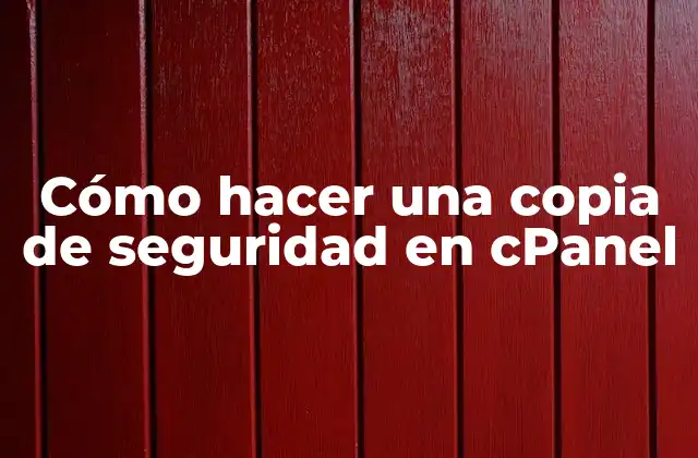 Cómo Hacer una Copia de Seguridad en Cpanel