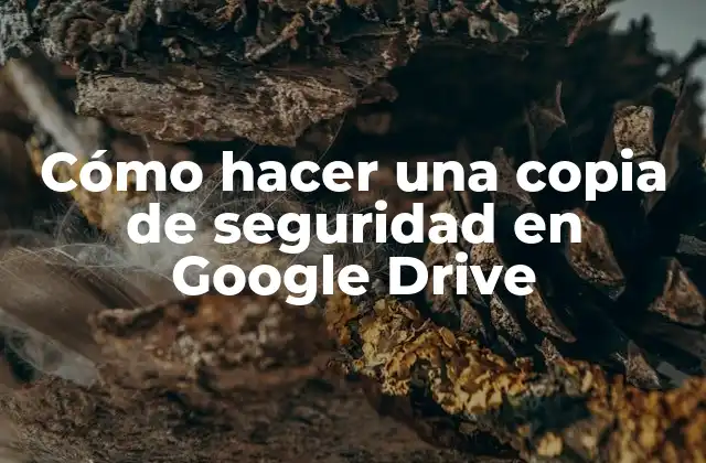 Cómo Hacer una Copia de Seguridad en Google Drive 2 Cómo hacer una copia de seguridad en Google Drive