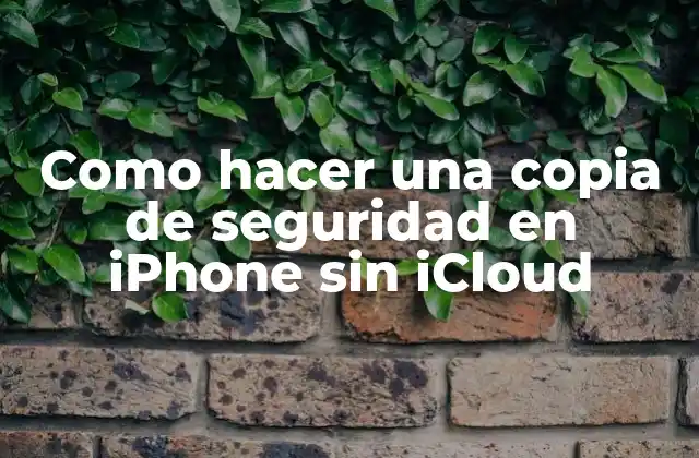 Como Hacer una Copia de Seguridad en Iphone sin Icloud