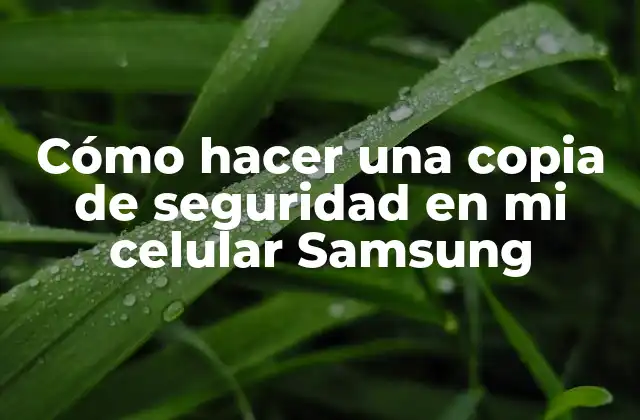 Cómo Hacer una Copia de Seguridad en Mi Celular Samsung
