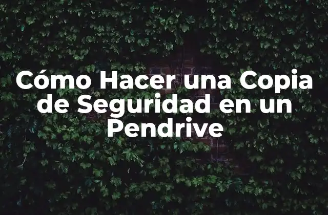 Cómo Hacer una Copia de Seguridad en un Pendrive