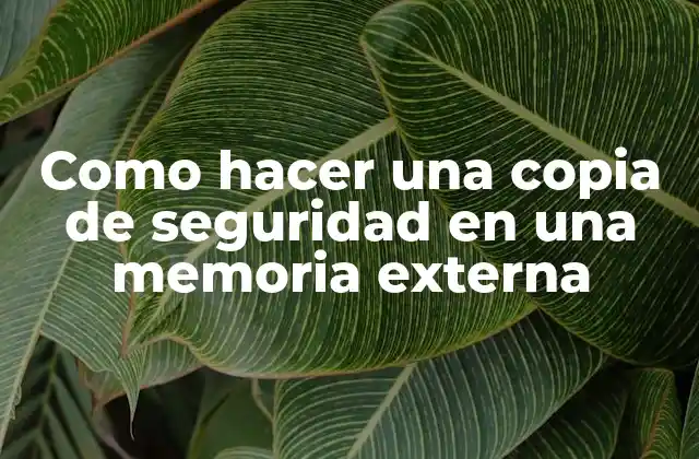 Como Hacer una Copia de Seguridad en una Memoria Externa