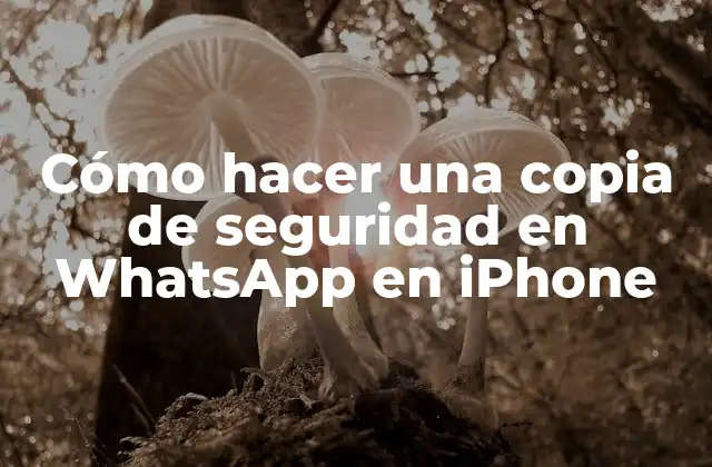 Cómo Hacer una Copia de Seguridad en Whatsapp en Iphone