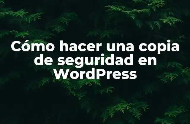 Cómo Hacer una Copia de Seguridad en WordPress