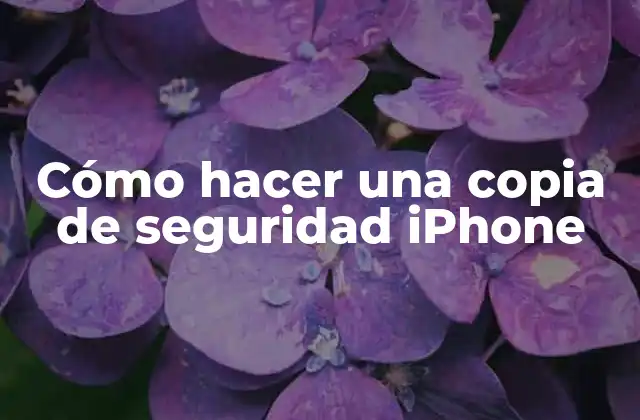 Cómo Hacer una Copia de Seguridad Iphone