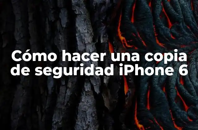 Cómo Hacer una Copia de Seguridad Iphone 6