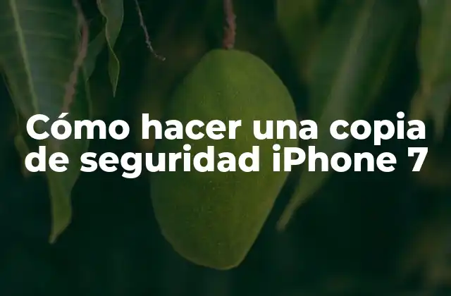 Cómo Hacer una Copia de Seguridad Iphone 7
