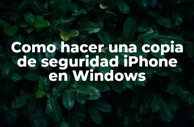 Cómo hacer una copia de seguridad iPhone en Windows
