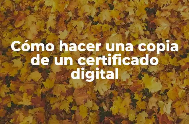 Cómo Hacer una Copia de un Certificado Digital