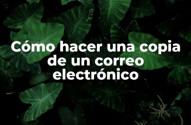 Cómo Hacer una Copia de un Correo Electrónico