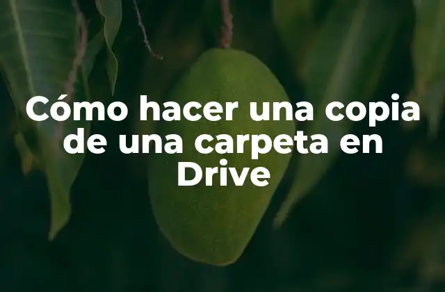Cómo Hacer una Copia de una Carpeta en Drive