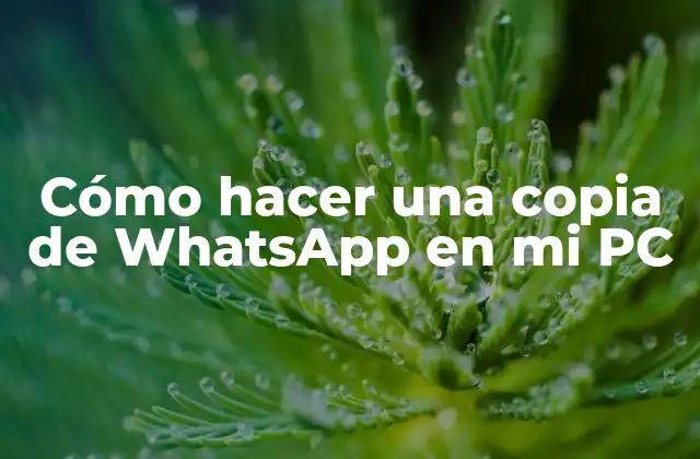 Cómo Hacer una Copia de Whatsapp en Mi Pc