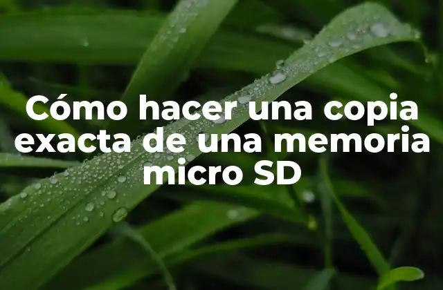Cómo Hacer una Copia Exacta de una Memoria Micro Sd