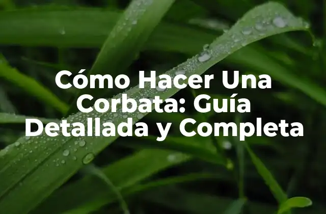 Cómo Hacer una Corbata: Guía Detallada y Completa 2 ¿Qué Tipo de Corbata Debe Usted Hacer?