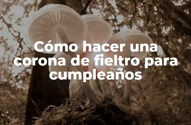 Cómo Hacer una Corona de Fieltro para Cumpleaños