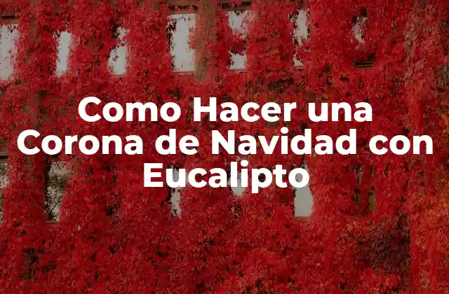 Como Hacer una Corona de Navidad con Eucalipto 2 ¿Qué es una Corona de Navidad con Eucalipto y para Qué Sirve?
