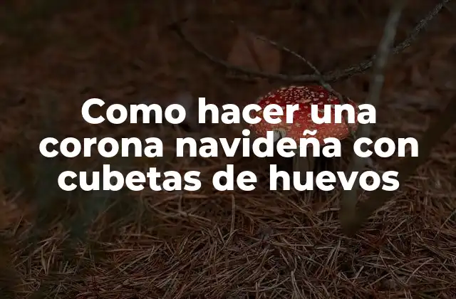 Como Hacer una Corona Navideña con Cubetas de Huevos