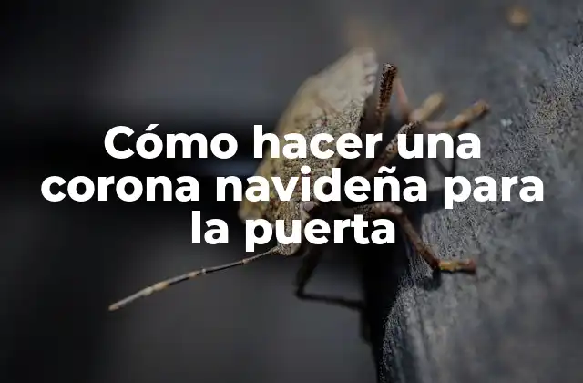 Cómo Hacer una Corona Navideña para la Puerta