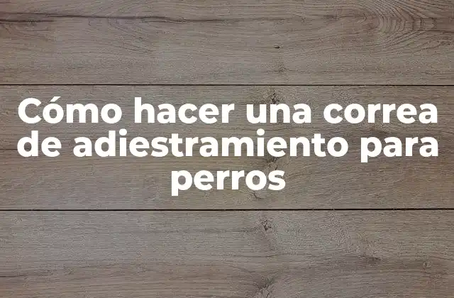 Cómo Hacer una Correa de Adiestramiento para Perros