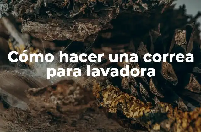 Cómo Hacer una Correa para Lavadora 2 ¿Qué es una correa para lavadora?