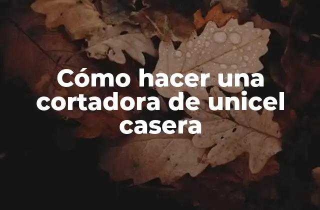 Cómo Hacer una Cortadora de Unicel Casera 2 Cómo hacer una cortadora de unicel casera