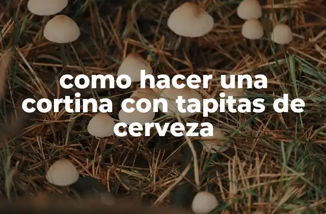 Como Hacer una Cortina con Tapitas de Cerveza